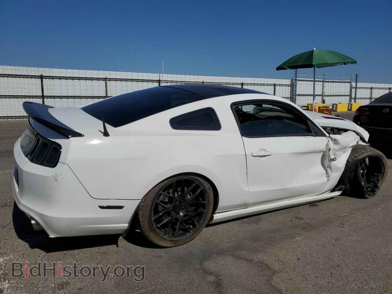 2013 FORD MUSTANG - VIN: 1ZVBP8CF5D5251587 - Фото 3