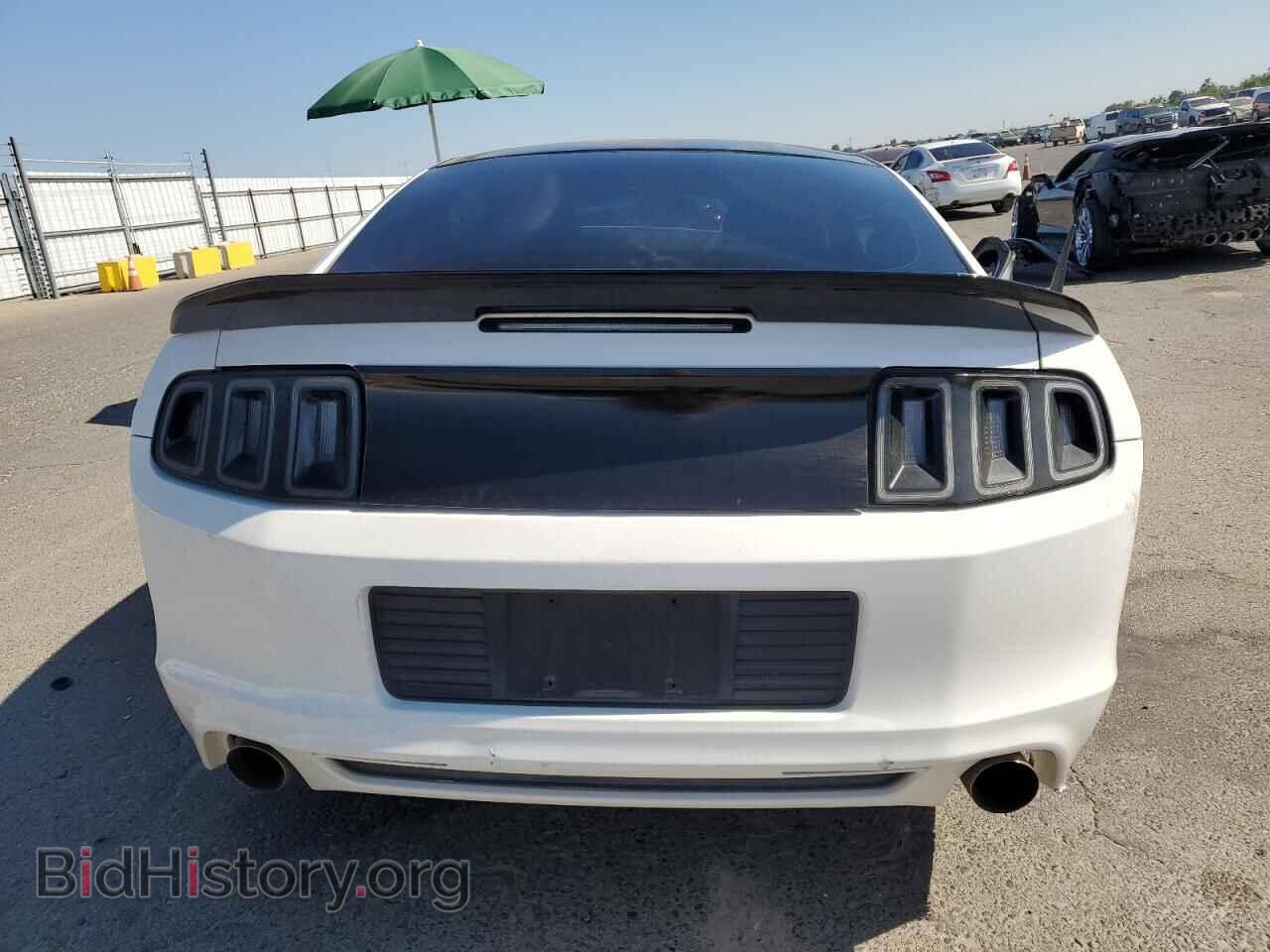 2013 FORD MUSTANG - VIN: 1ZVBP8CF5D5251587 - Фото 6