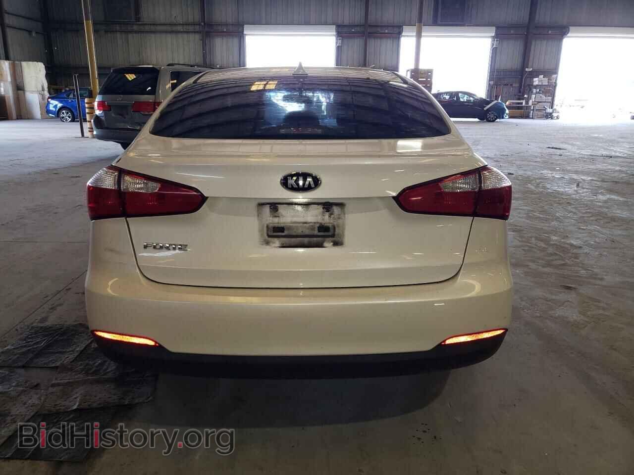 2014 KIA FORTE - VIN: KNAFX4A62E5159657 - Фото 6