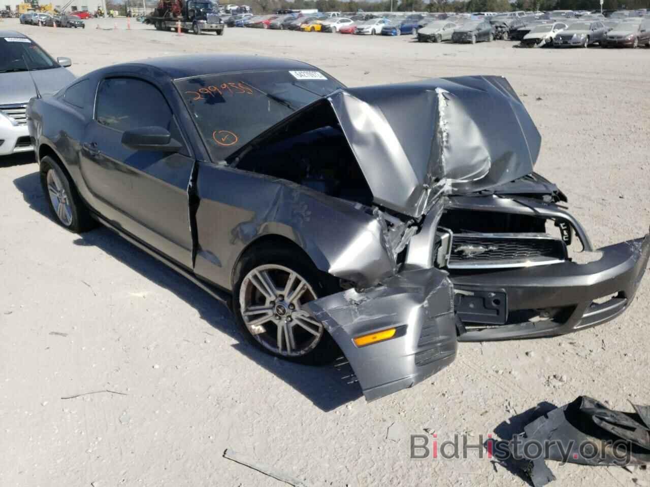 Photo 1ZVBP8AM7E5299935 - FORD MUSTANG 2014