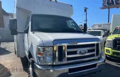 2015 Ford ALL MODELS E450 Super Duty Cutaway Van, белый — VIN 1FDXE4FS7FDA20114, Copart