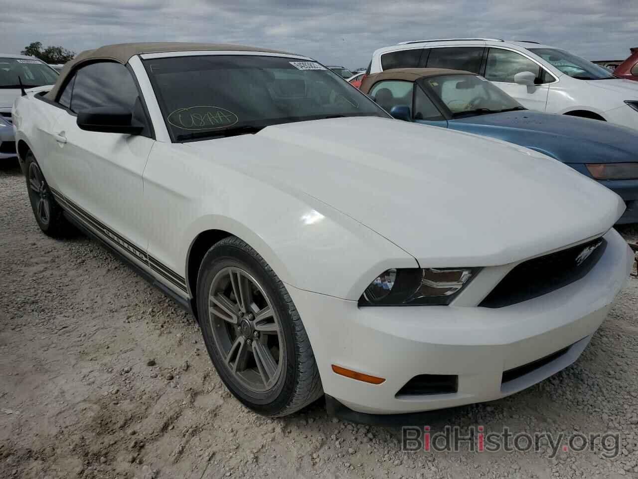 Photo 1ZVBP8EM8B5117813 - FORD MUSTANG 2011