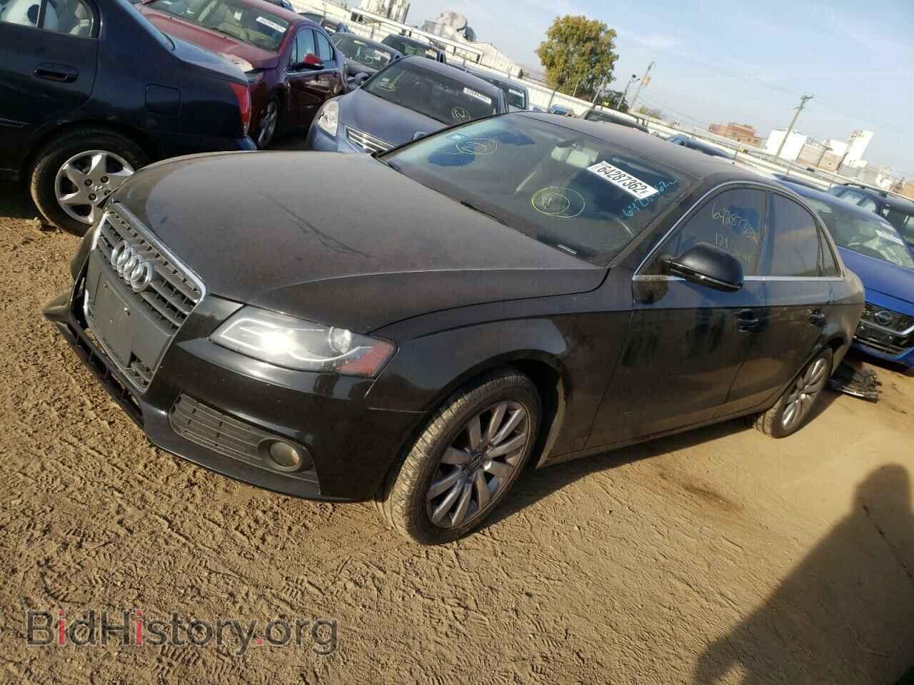 2010 AUDI A4 - VIN: WAUFFAFLXAN033637 - Фото 2