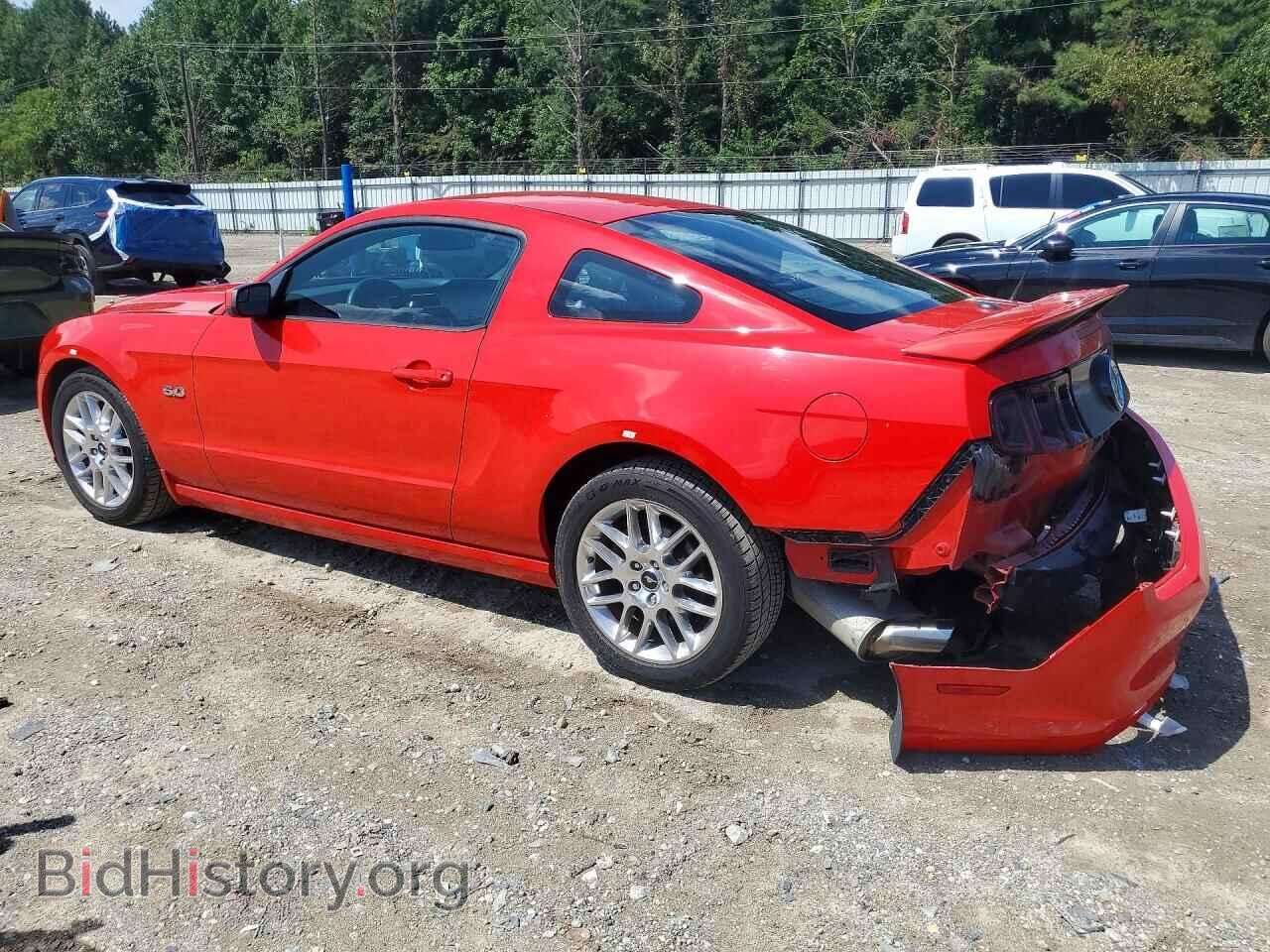 2013 FORD MUSTANG - VIN: 1ZVBP8CF0D5263680 - Фото 2
