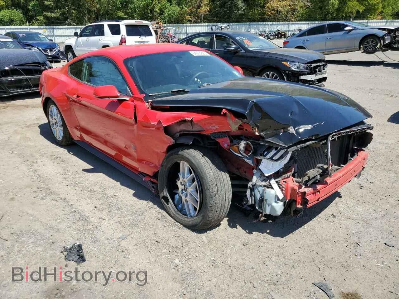 2017 FORD ALL Models - VIN: 1FA6P8AM7H5209276 - Фото 4