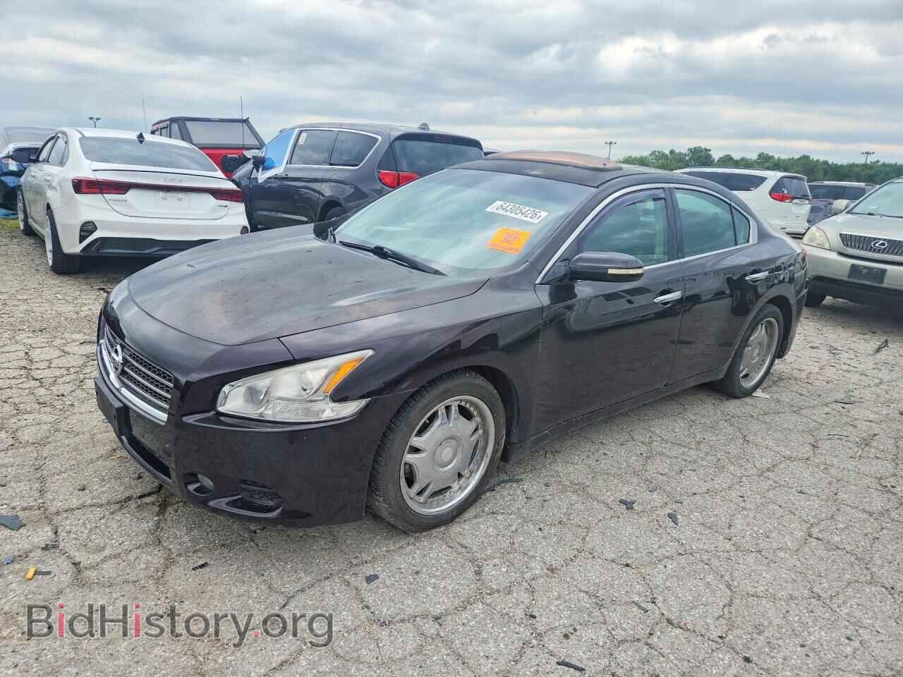 Photo 1N4AA5AP1AC813251 - NISSAN MAXIMA 2010