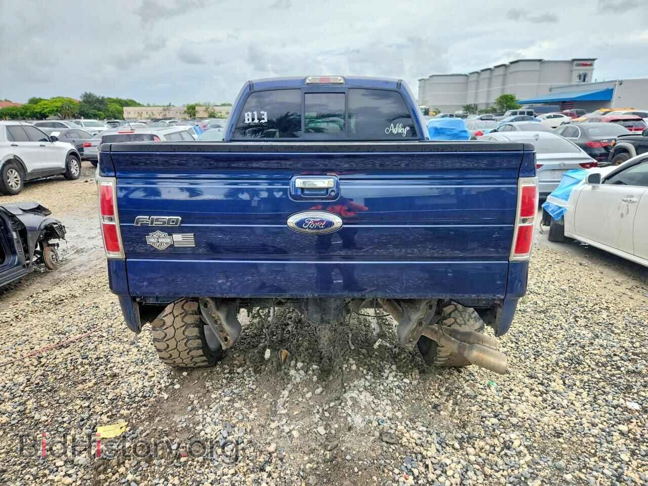 2011 FORD F150 - VIN: 1FTFW1EF1BFB60044 - Фото 6