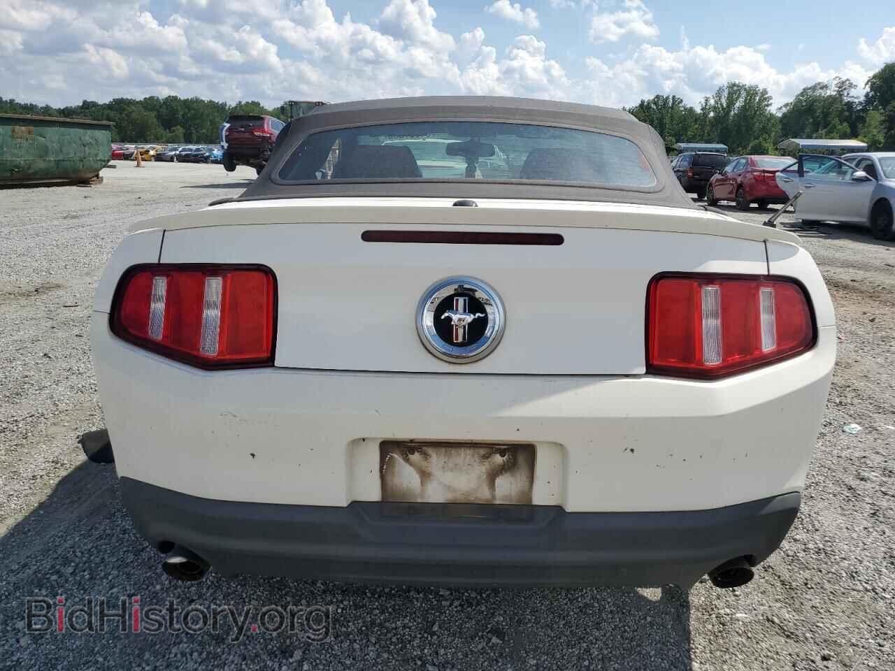 2011 FORD ALL Models - VIN: 1ZVBP8EM0B5126554 - Фото 6
