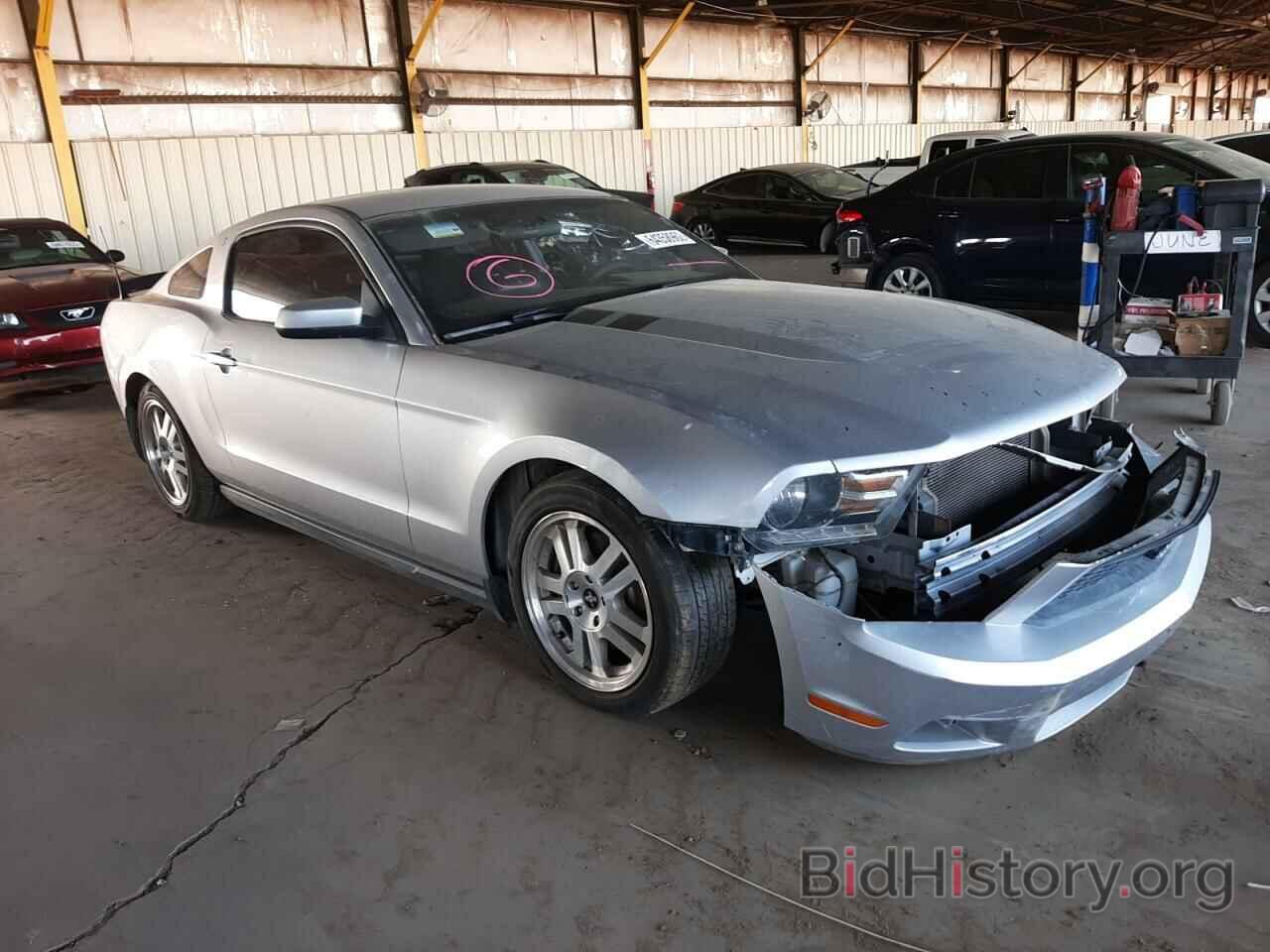 Photo 1ZVBP8AMXC5210243 - FORD MUSTANG 2012