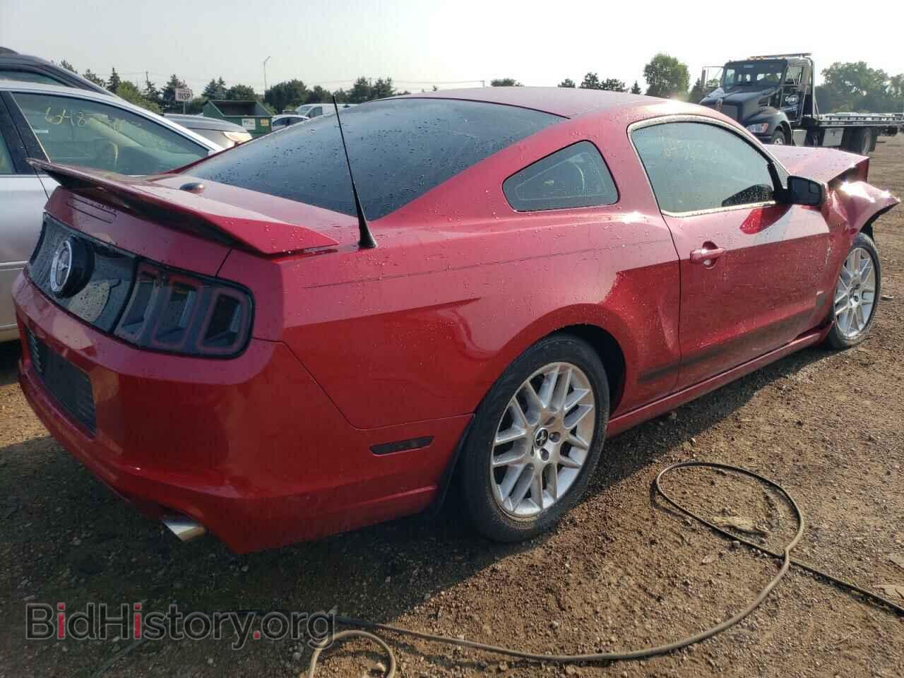2013 FORD ALL Models - VIN: 1ZVBP8AM2D5215616 - Фото 3