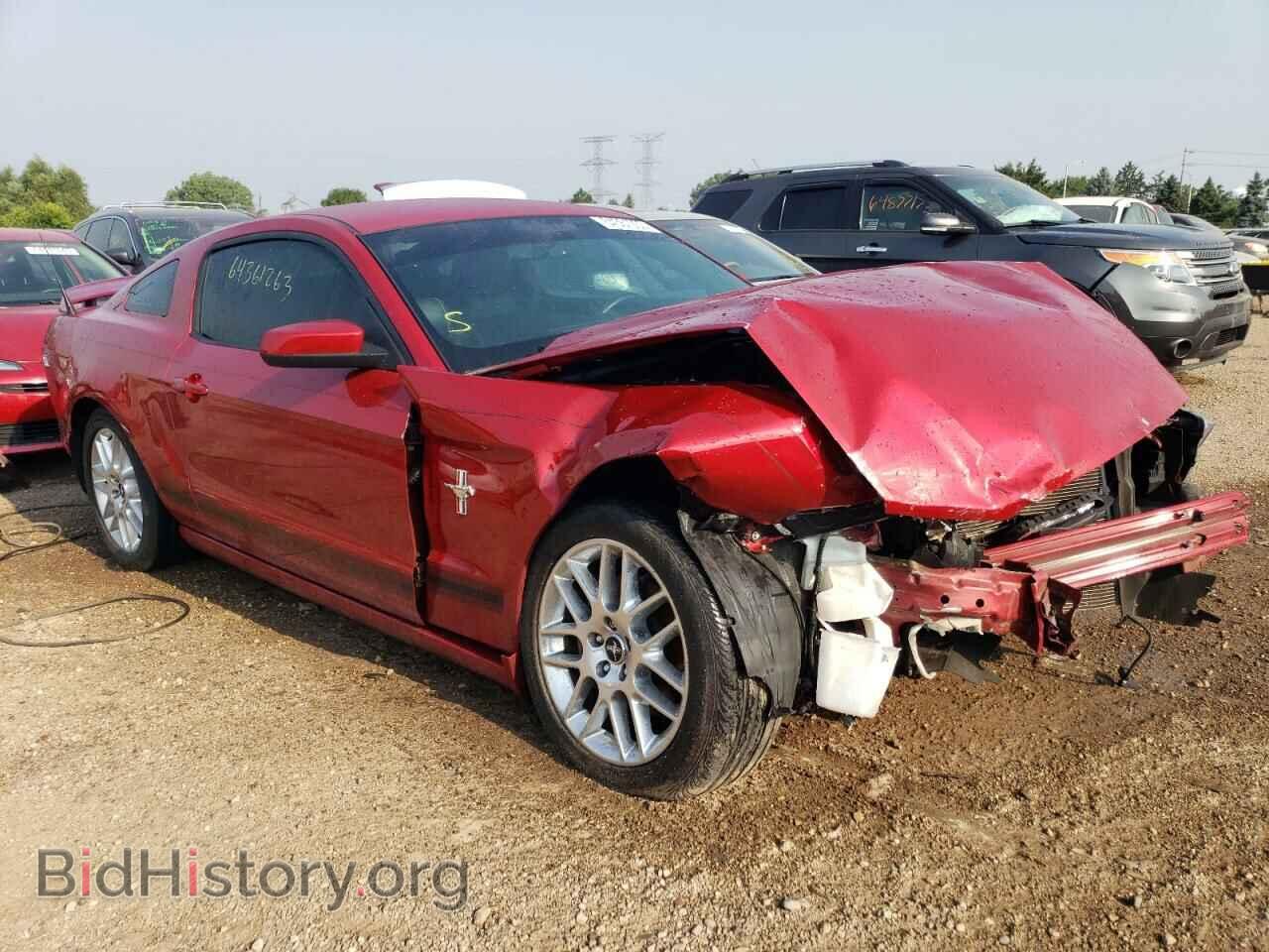 2013 FORD ALL Models - VIN: 1ZVBP8AM2D5215616 - Фото 4