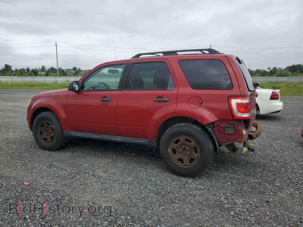 2010 FORD ESCAPE - VIN: 1FMCU0DG2AKC55727 - Фото 2