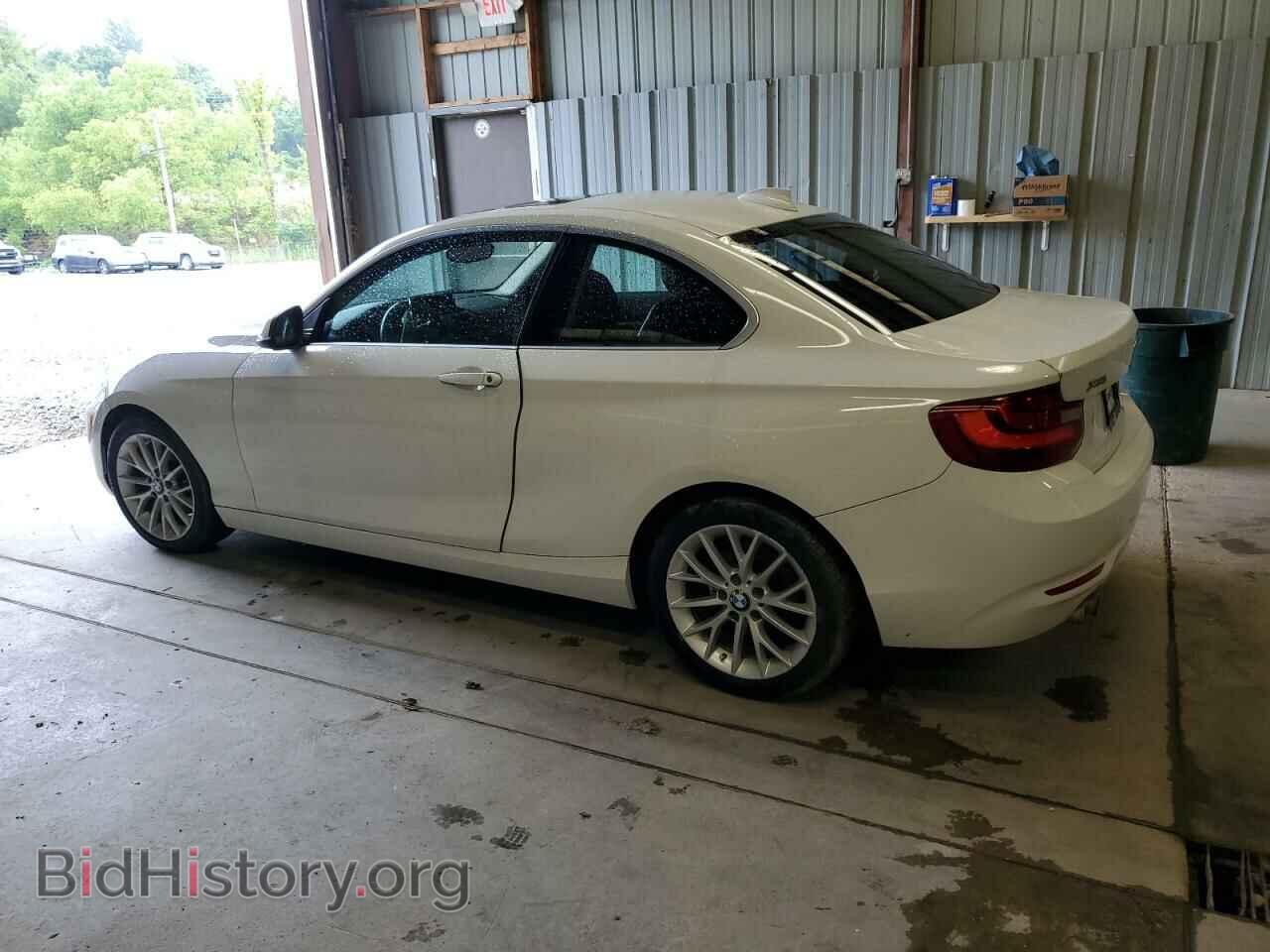 2015 BMW 2 SERIES - VIN: WBA1G9C57FVX96511 - Фото 2