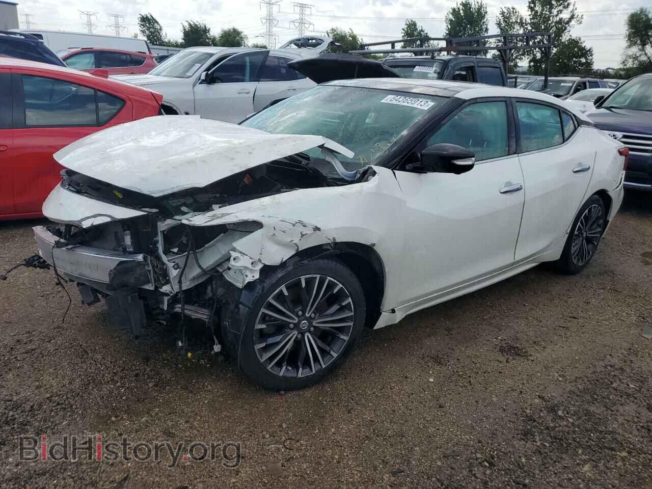 Photo 1N4AA6AP9HC387891 - NISSAN MAXIMA 2017