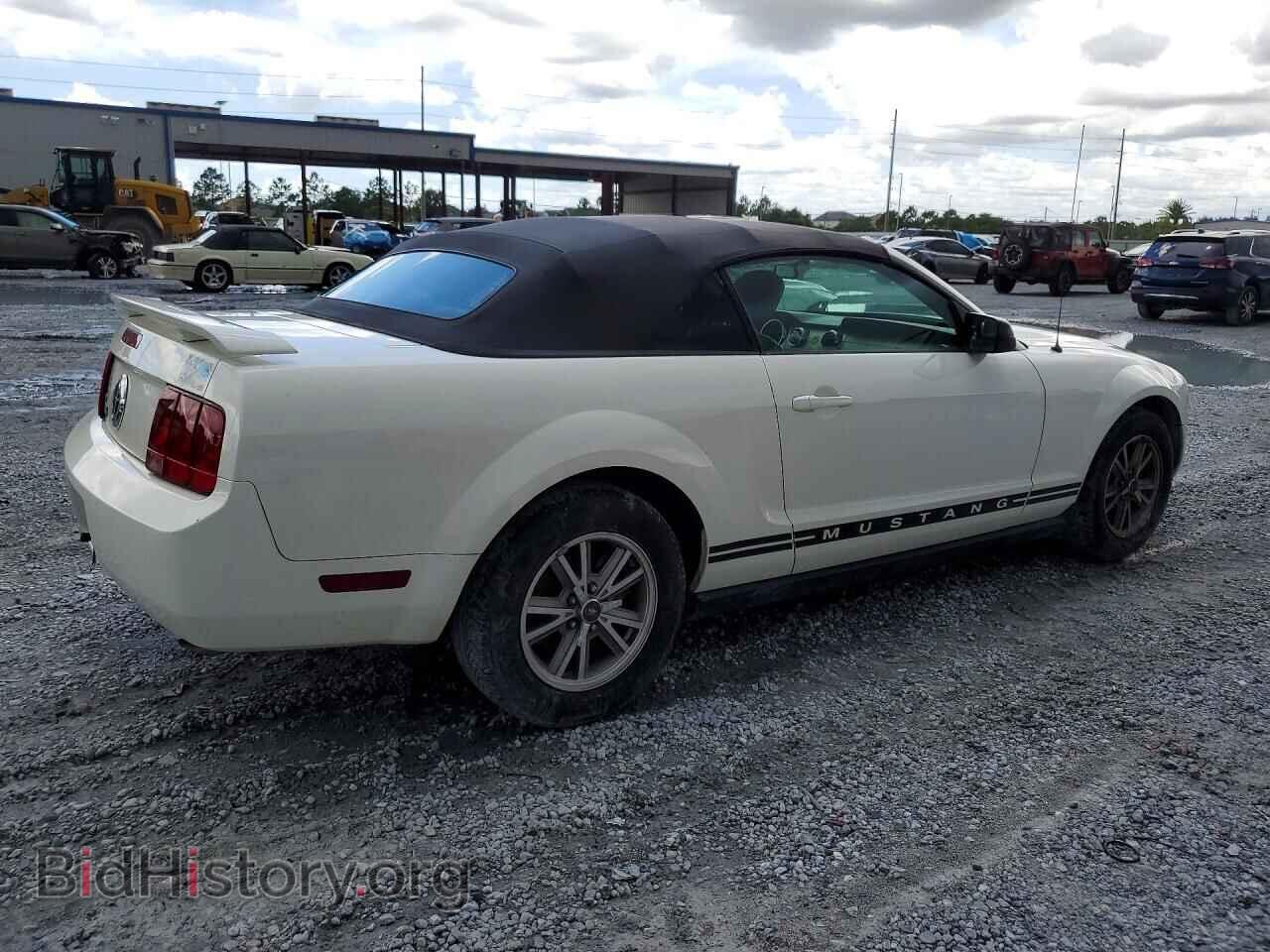 2005 FORD MUSTANG - VIN: 1ZVFT84N555247611 - Фото 3