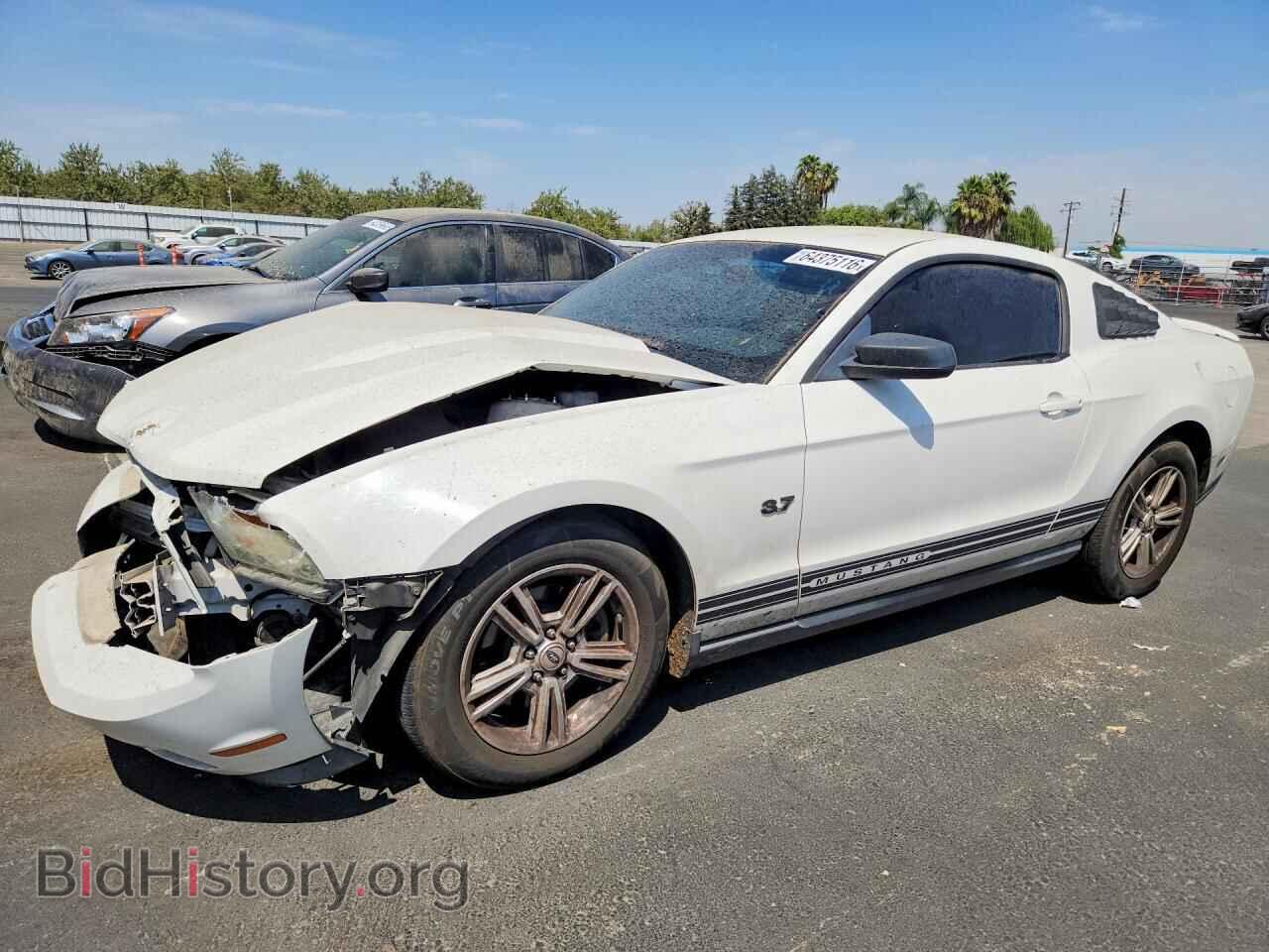 Фотография 1ZVBP8AMXC5209237 - FORD MUSTANG 2012