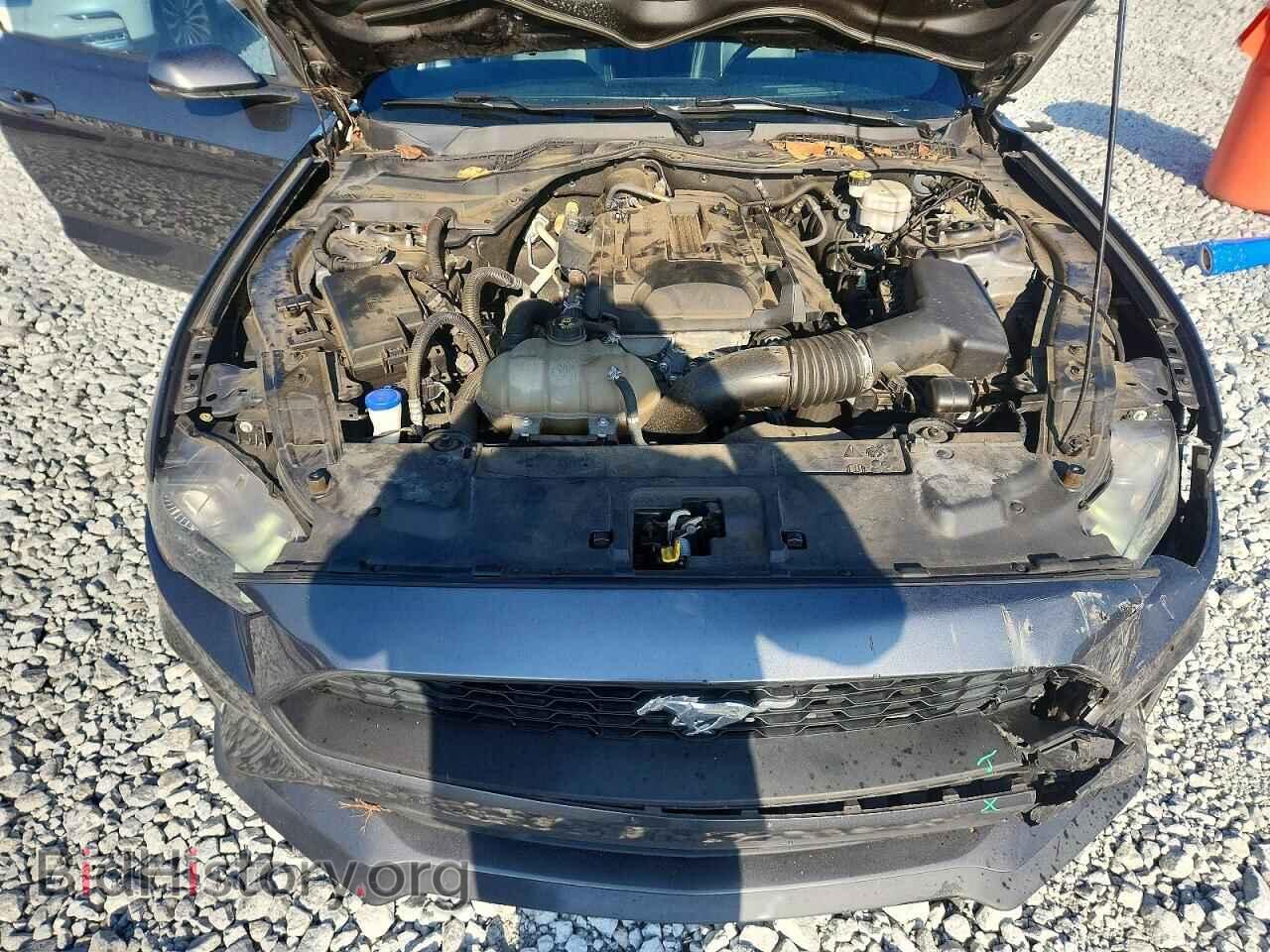 2020 FORD MUSTANG - VIN: 1FA6P8TH6L5100204 - Photo 11