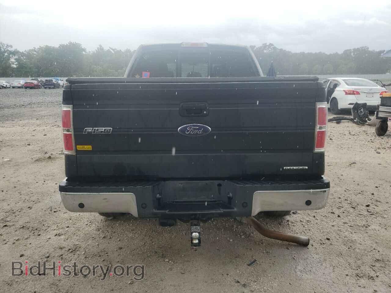 2013 FORD F-150 - VIN: 1FTEW1CM3DKD55652 - Фото 6