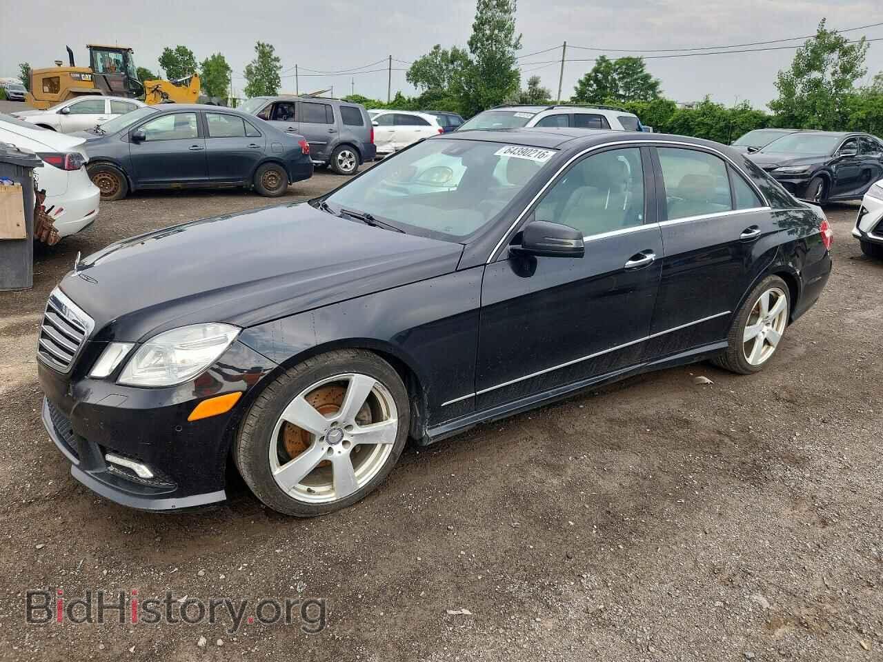 Фотография WDDHF8HB3AA145198 - MERCEDES-BENZ E-CLASS 2010