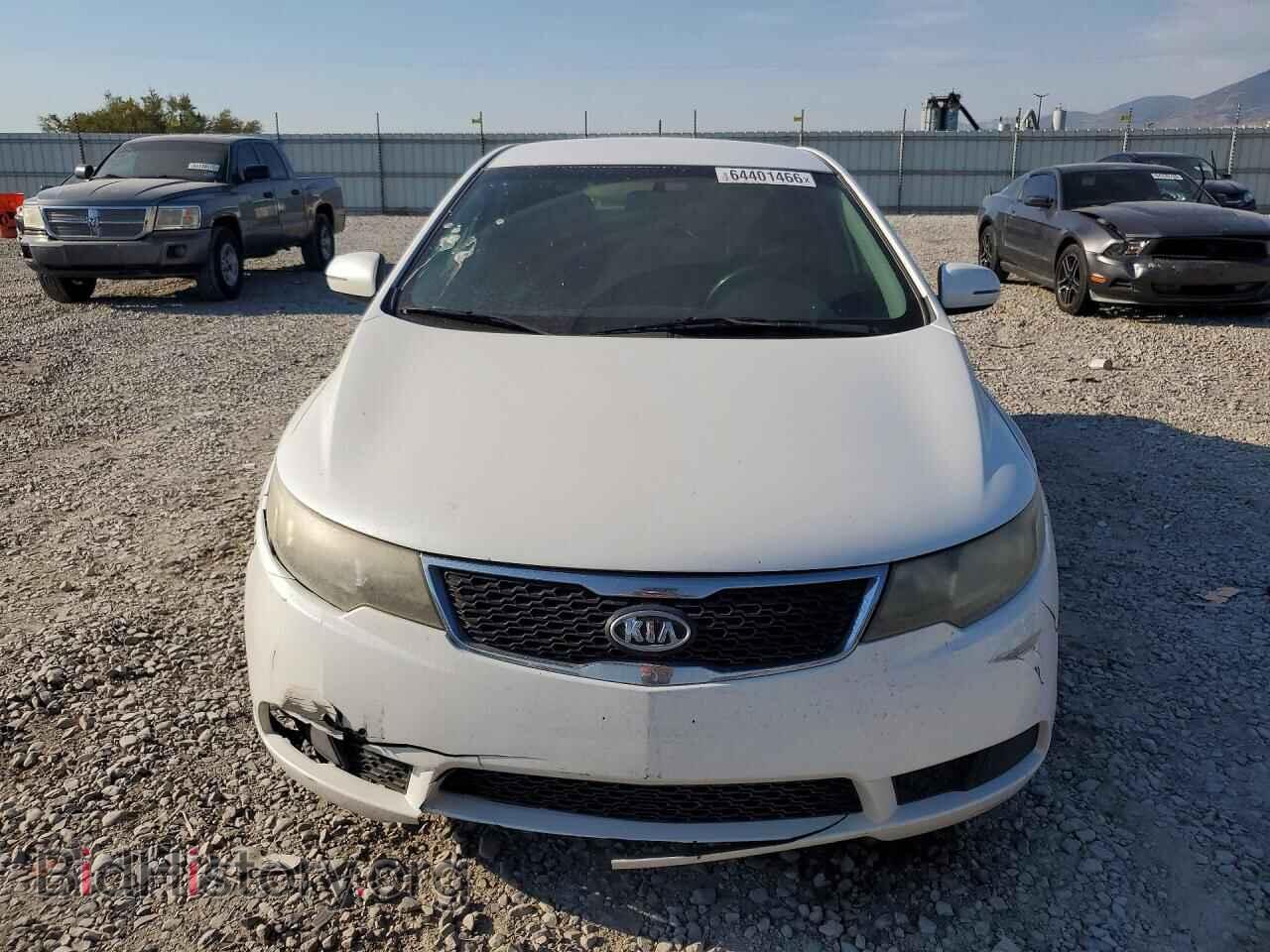 2011 KIA FORTE - VIN: KNAFU4A21B5384671 - Photo 5