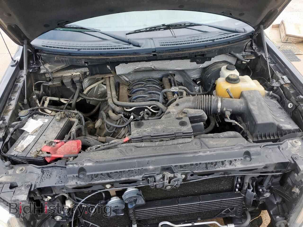 2013 FORD F-150 - VIN: 1FTFX1CF5DFD25614 - Фото 11