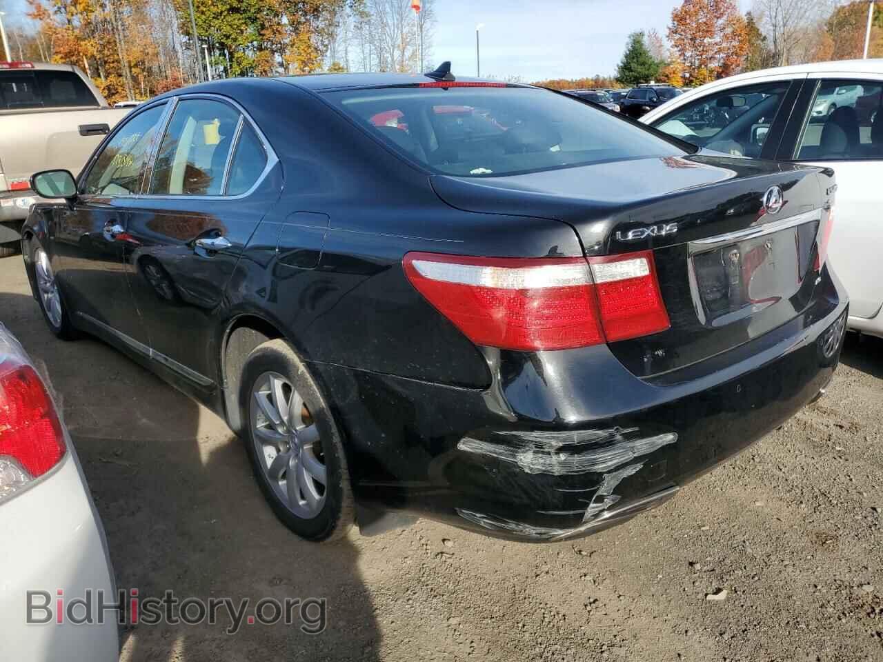 2009 LEXUS LS460 - VIN: JTHCL46F195001616 - Фото 3