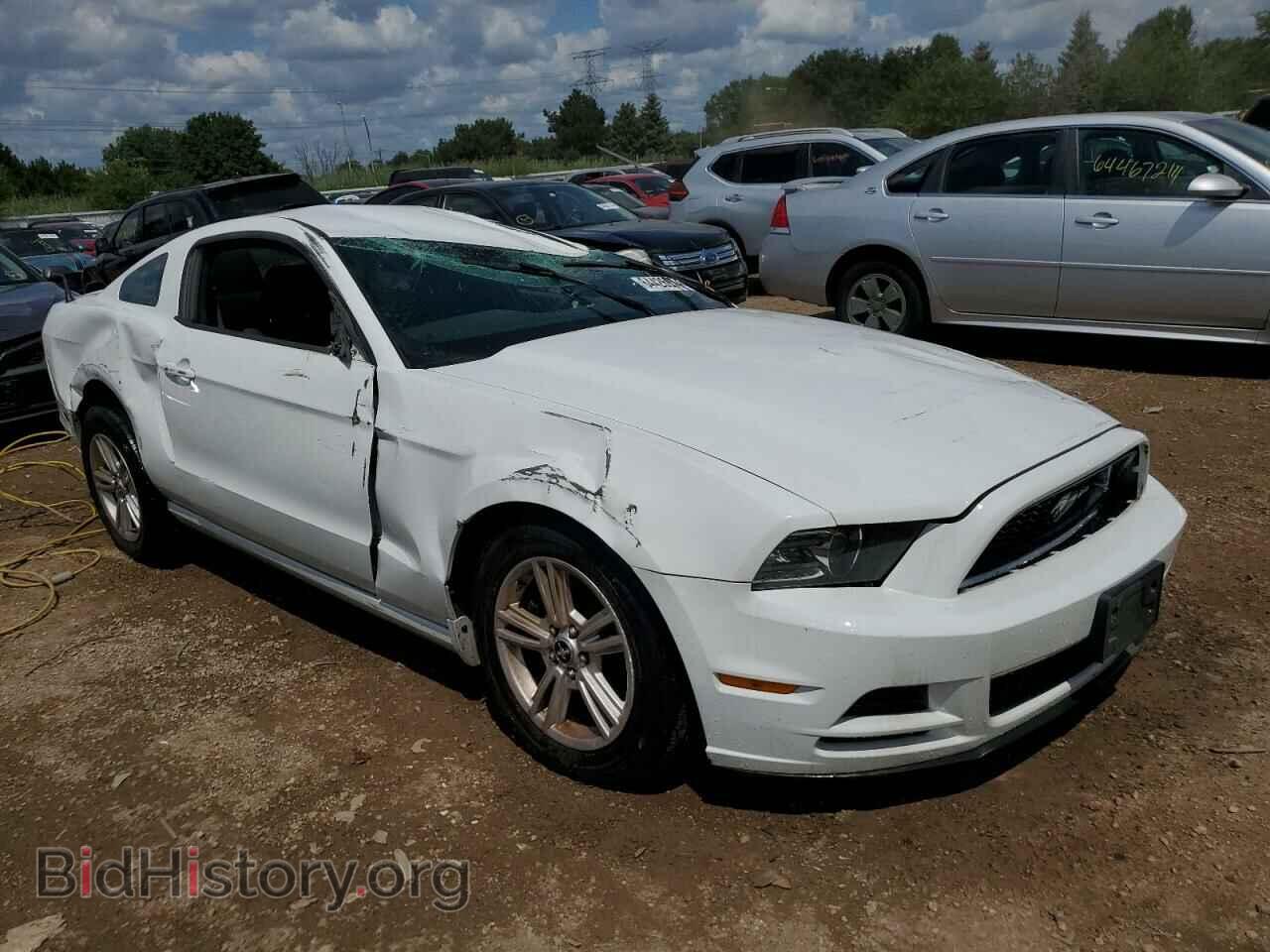 2014 FORD ALL Models - VIN: 1ZVBP8AM8E5310425 - Фото 4