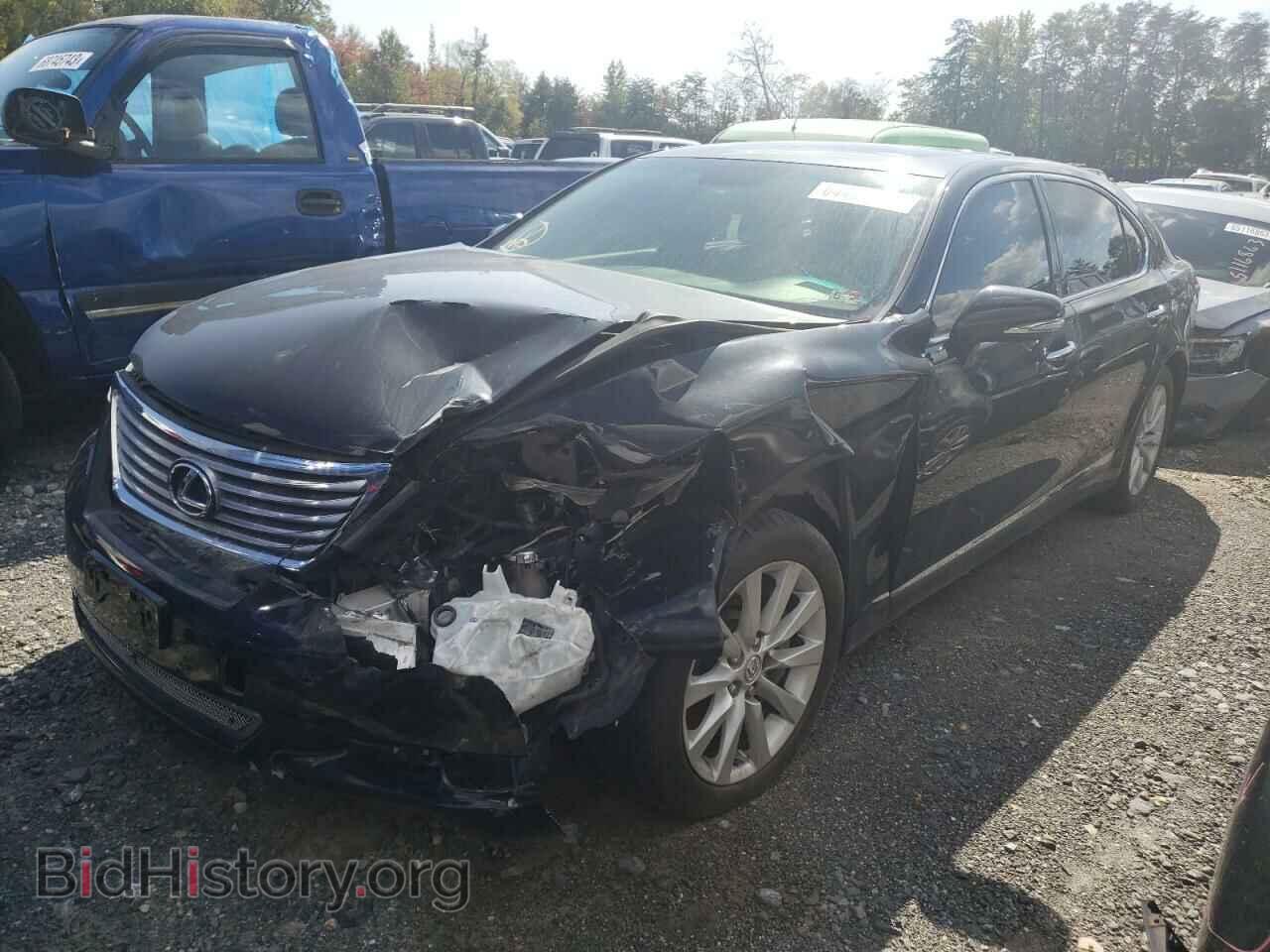 Фотография JTHDL5EF1C5004745 - LEXUS LS460 2012
