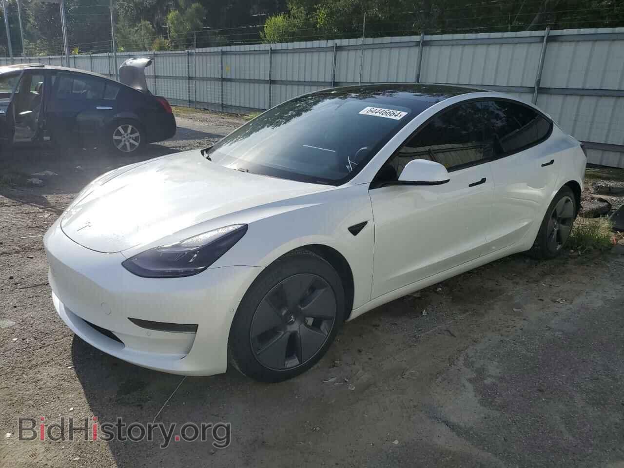 Photo 5YJ3E1EA1MF873818 - TESLA MODEL 3 2021