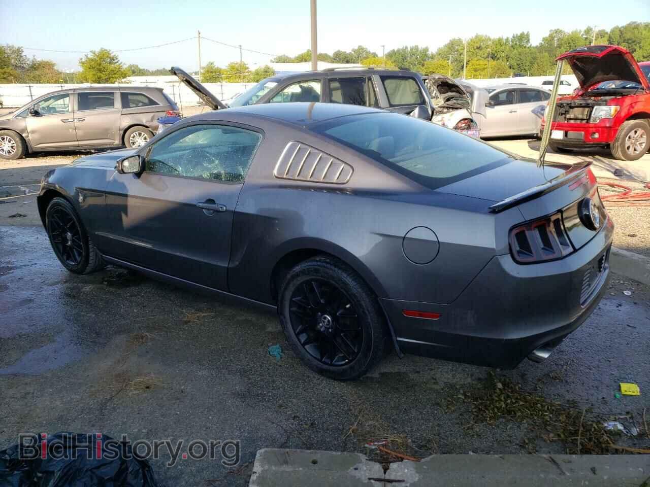 2014 FORD ALL Models - VIN: 1ZVBP8AM4E5324354 - Фото 2