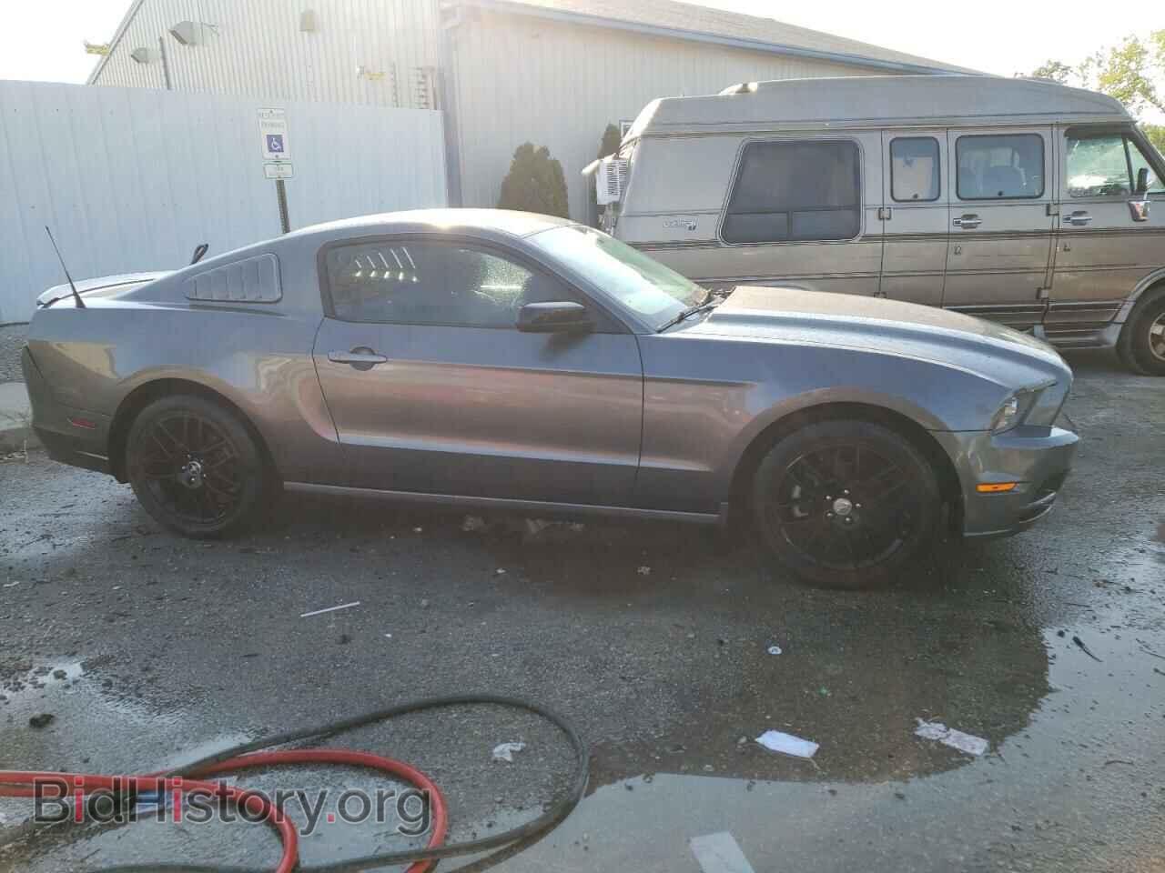 2014 FORD ALL Models - VIN: 1ZVBP8AM4E5324354 - Фото 4