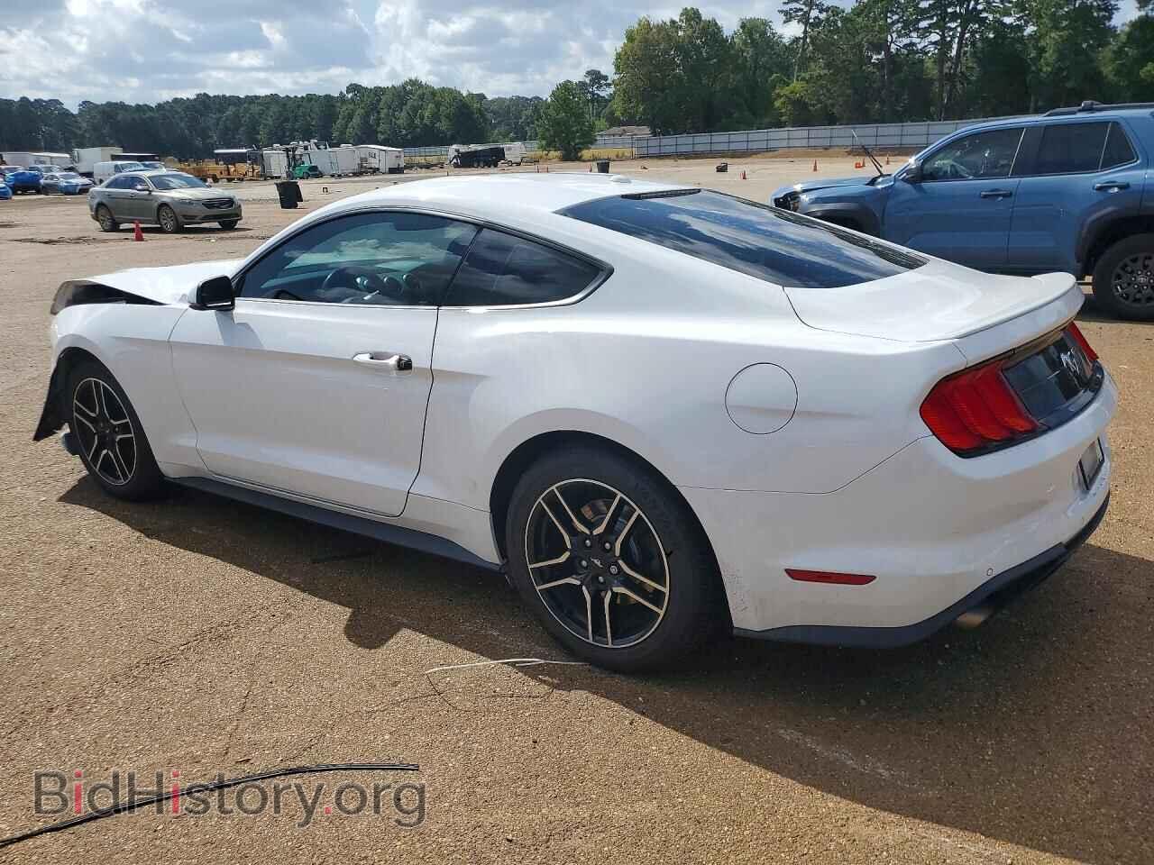 2019 FORD MUSTANG - VIN: 1FA6P8TH9K5133891 - Photo 2