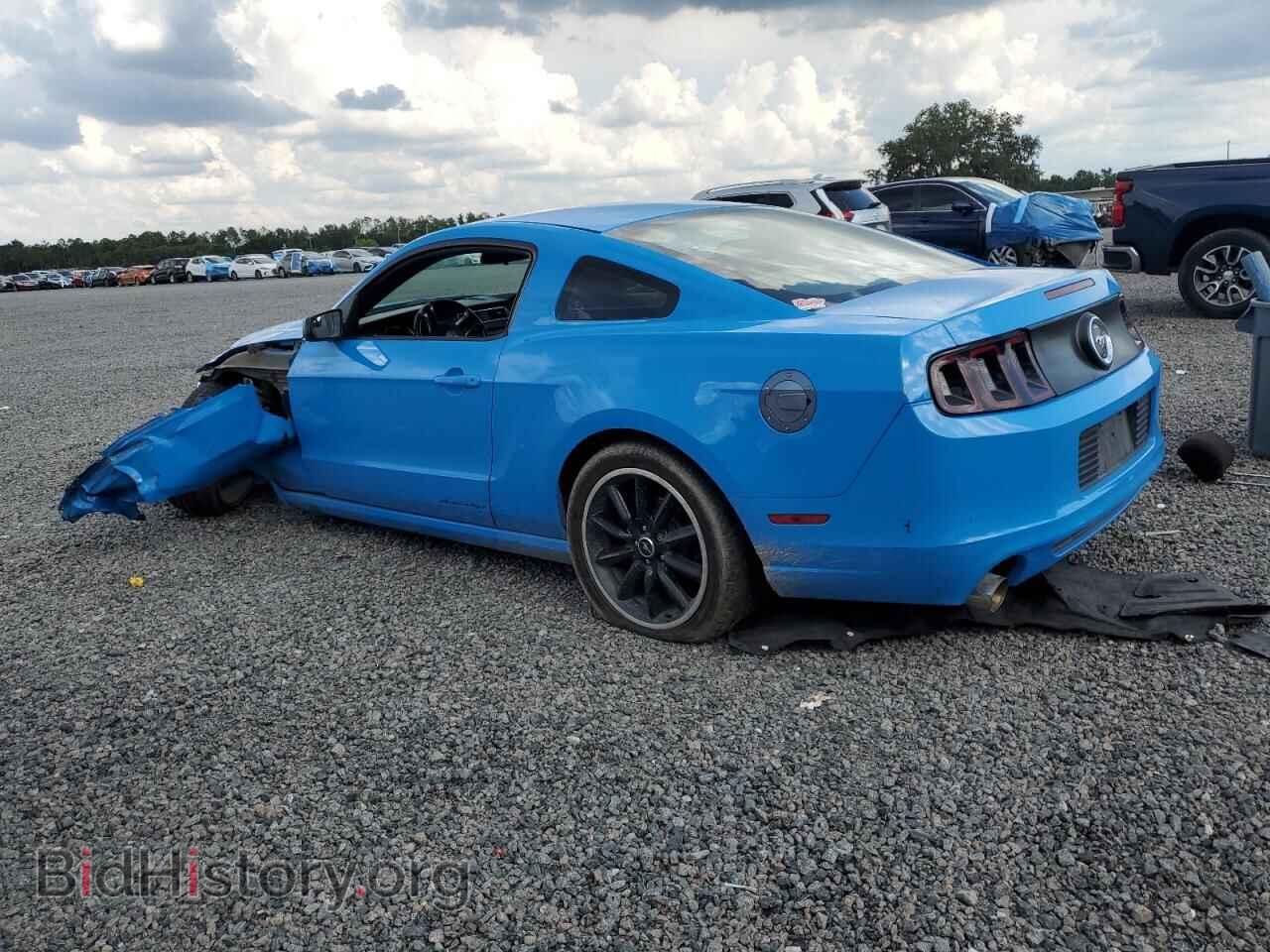 2013 FORD ALL Models - VIN: 1ZVBP8AM4D5223409 - Фото 2