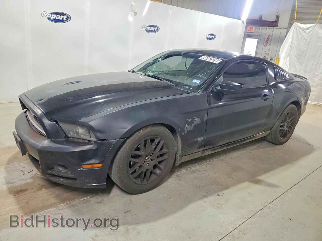 Фотография 1ZVBP8AM3E5320148 - FORD MUSTANG 2014
