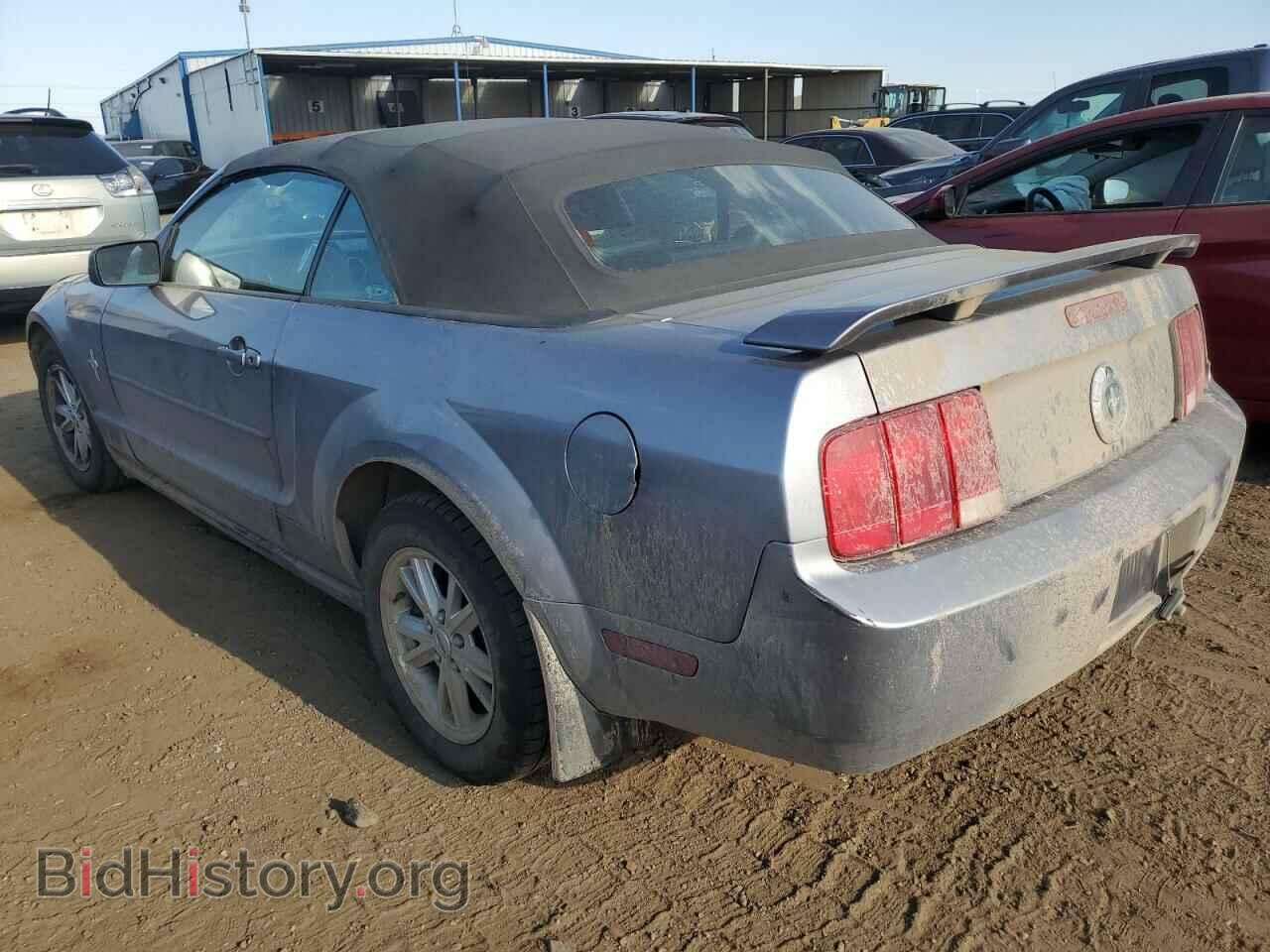 2006 FORD ALL Models - VIN: 1ZVFT84N565198122 - Фото 2