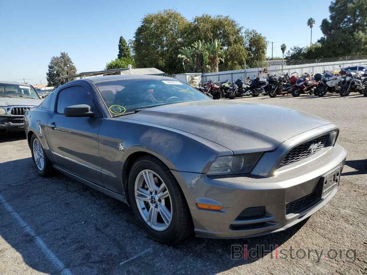 Photo 1ZVBP8AM7D5282406 - FORD MUSTANG 2013