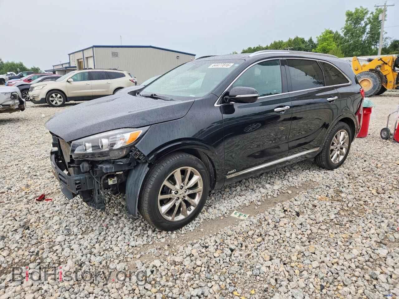 Photo 5XYPKDA54HG231676 - KIA SORENTO 2017
