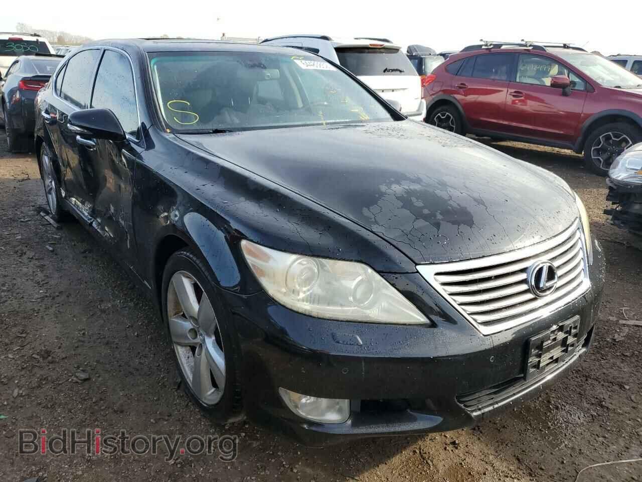 Photo JTHGL5EF8B5043537 - LEXUS LS460 2011