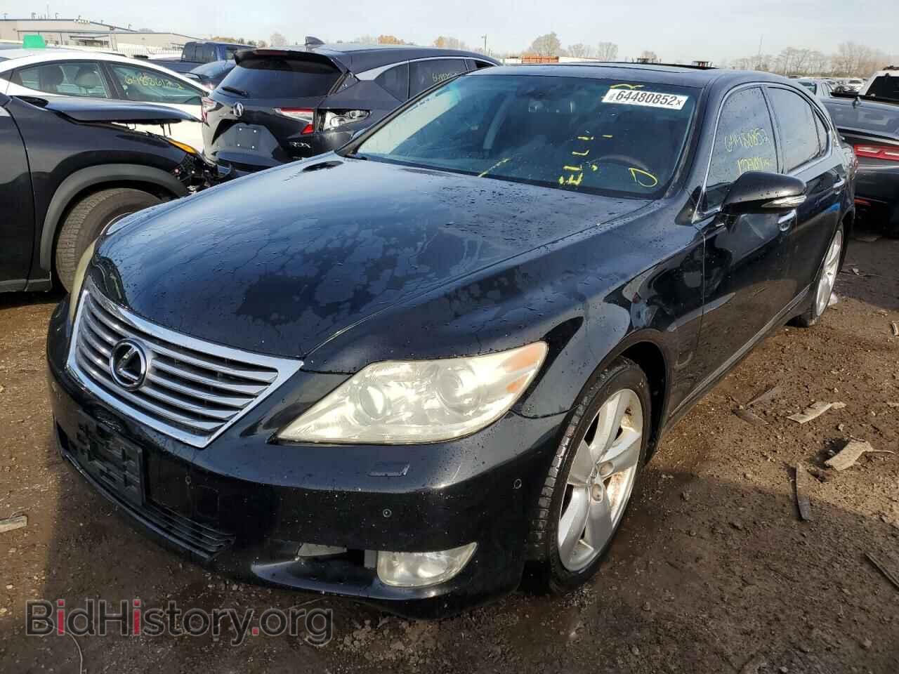 2011 LEXUS LS460 - VIN: JTHGL5EF8B5043537 - Фото 2