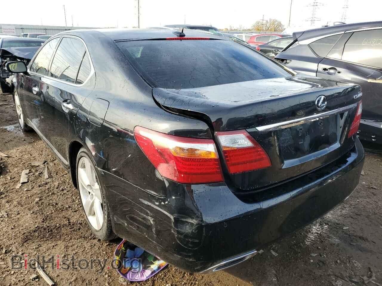 2011 LEXUS LS460 - VIN: JTHGL5EF8B5043537 - Фото 3