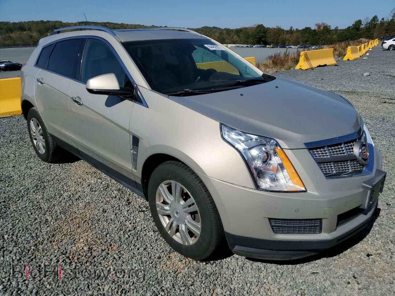 Photo 3GYFNAE36CS509196 - CADILLAC SRX 2012