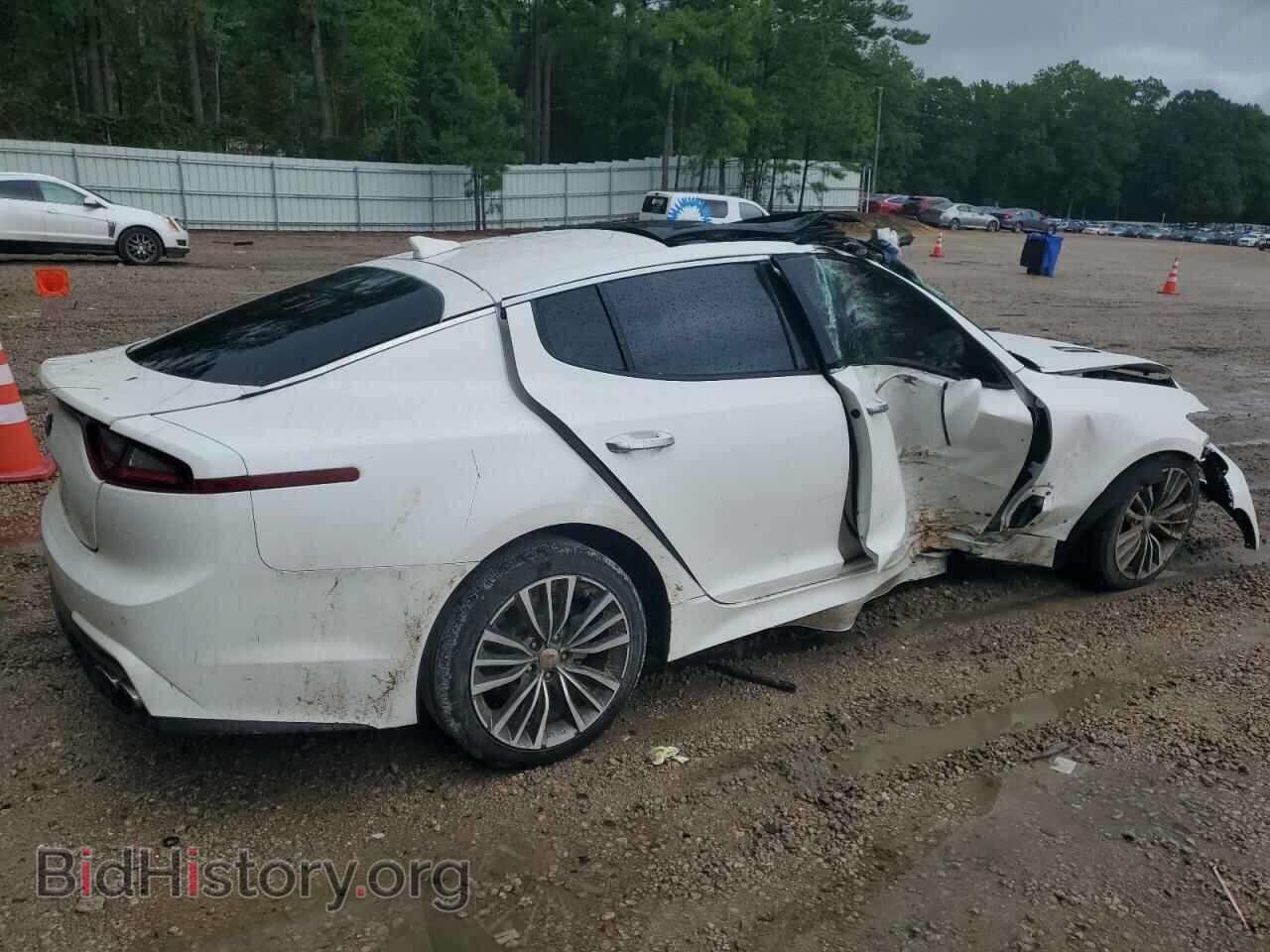 2019 KIA STINGER - VIN: KNAE15LA2K6045183 - Фото 3