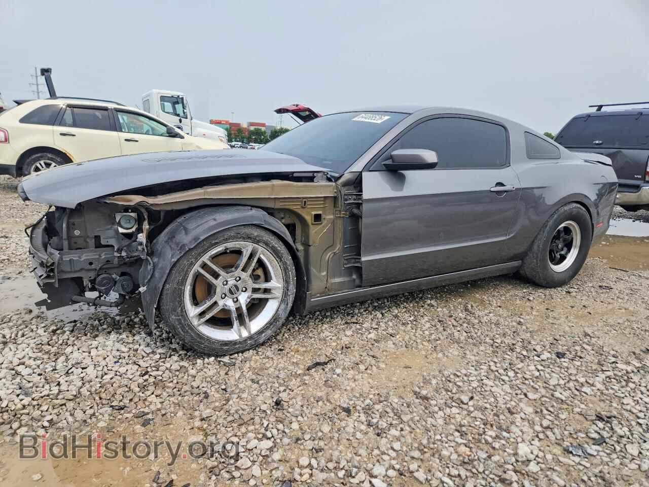 Фотография 1ZVBP8CF5D5231579 - FORD MUSTANG 2013