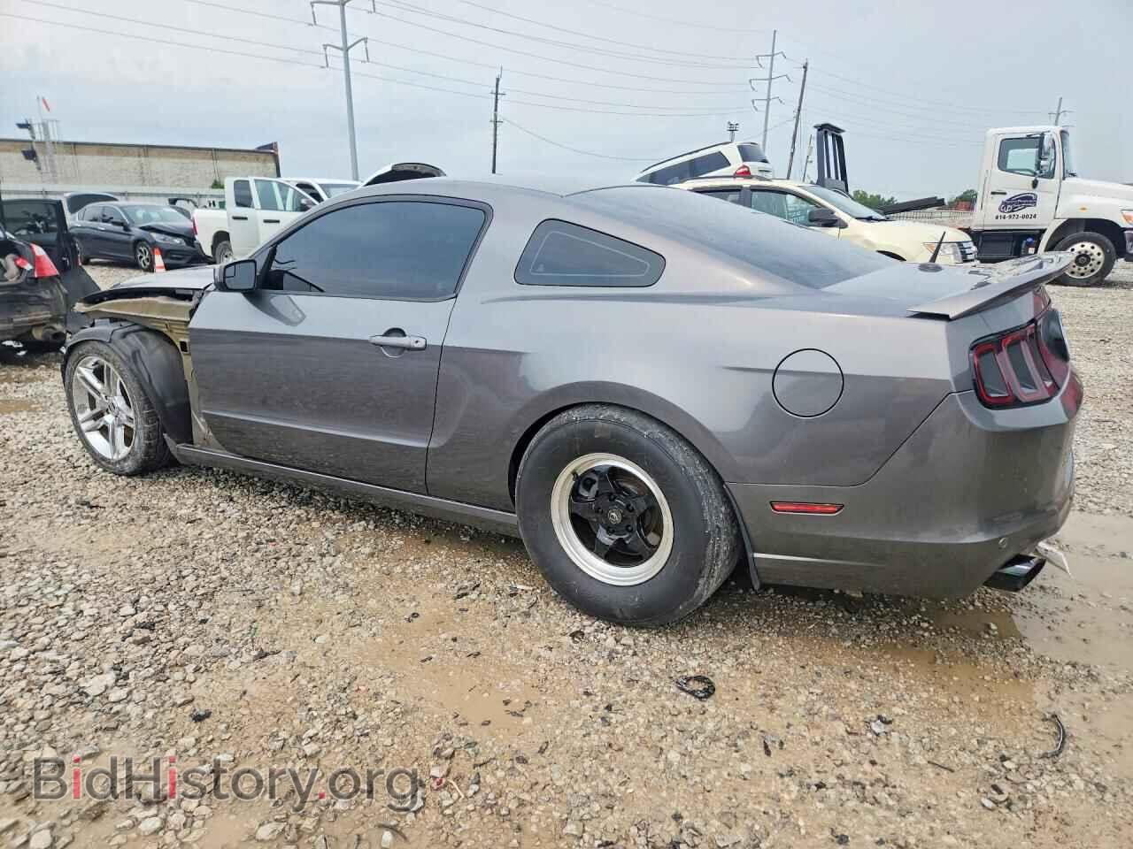 2013 FORD MUSTANG - VIN: 1ZVBP8CF5D5231579 - Фото 2