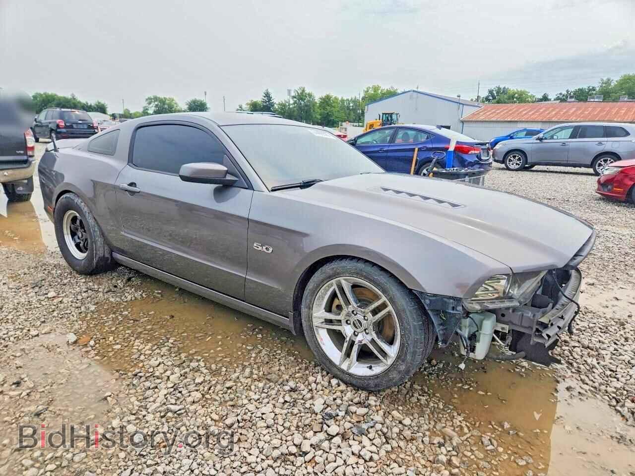 2013 FORD MUSTANG - VIN: 1ZVBP8CF5D5231579 - Фото 4