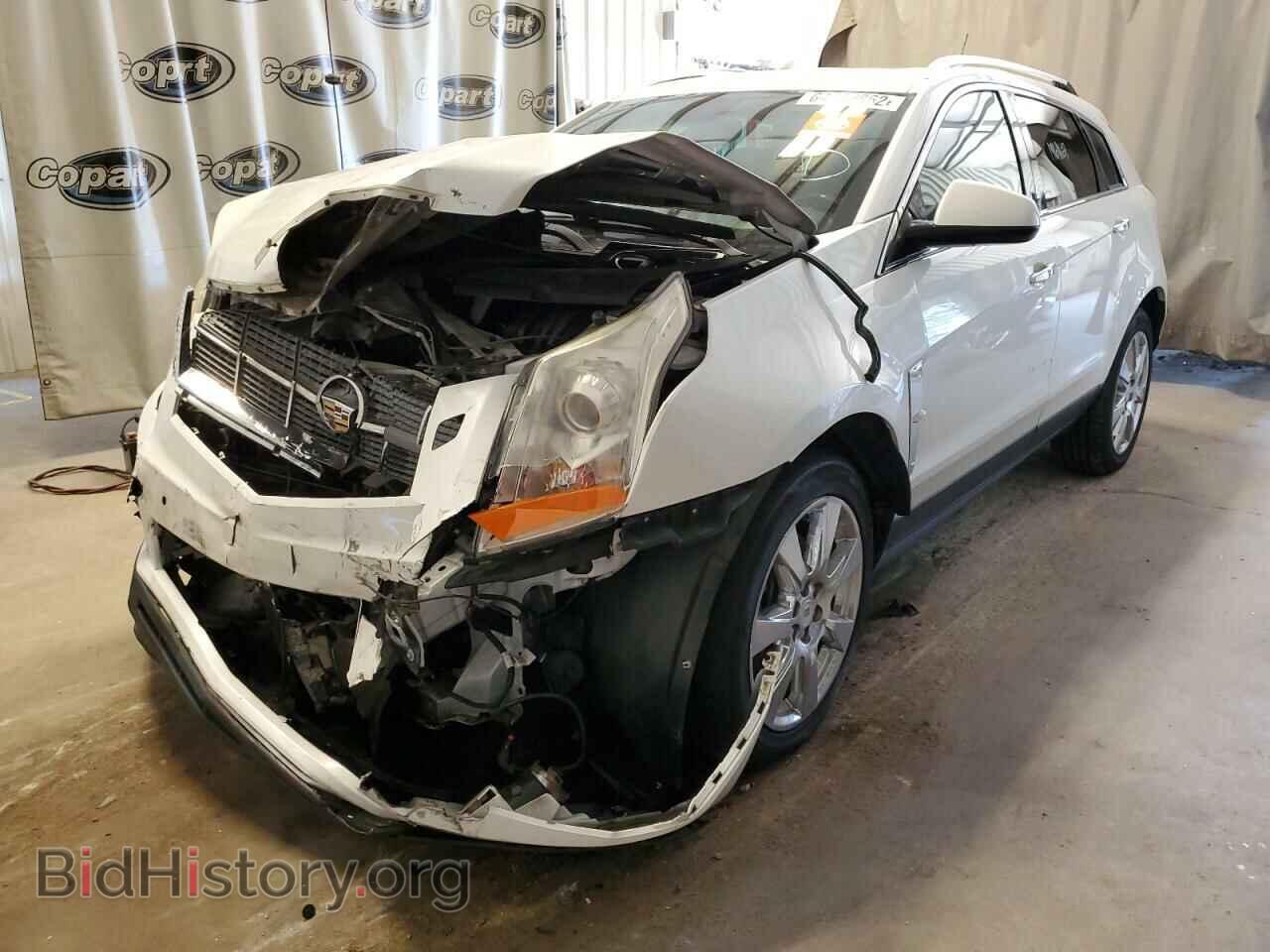 2011 CADILLAC SRX - VIN: 3GYFNBEY2BS541353 - Фото 2
