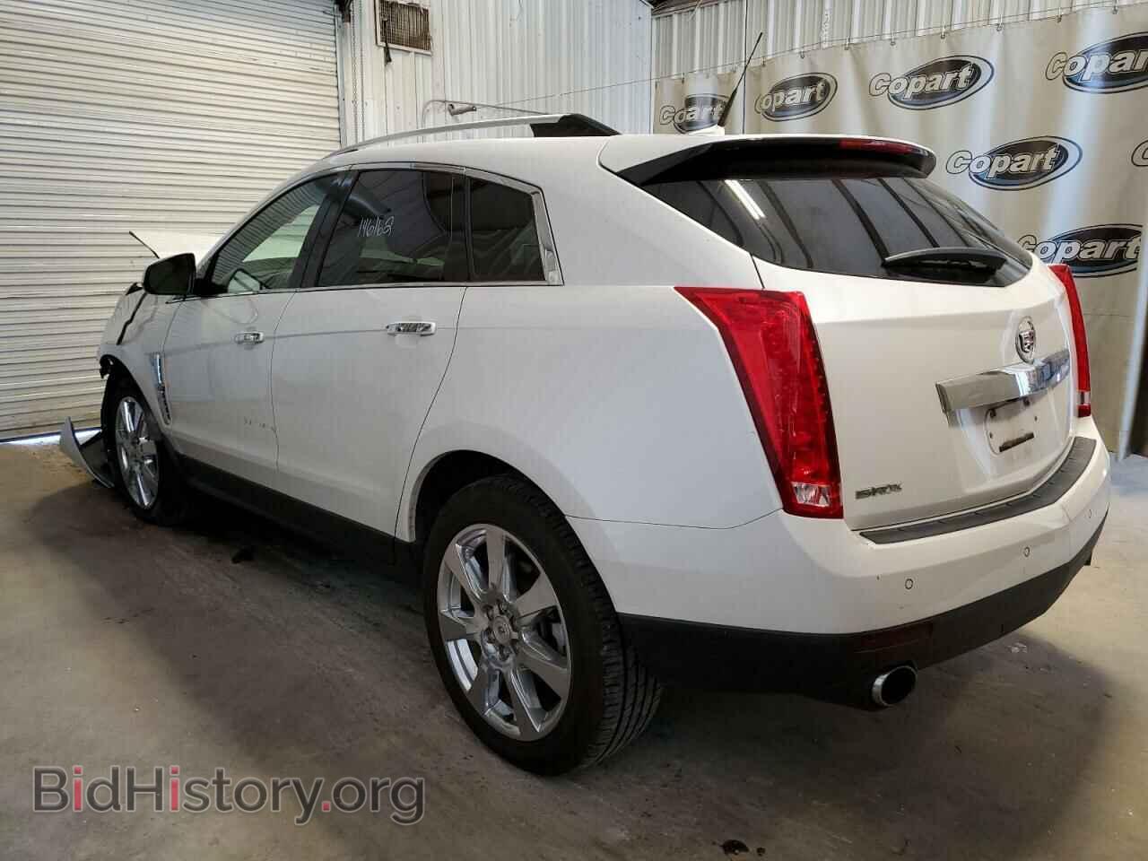 2011 CADILLAC SRX - VIN: 3GYFNBEY2BS541353 - Фото 3
