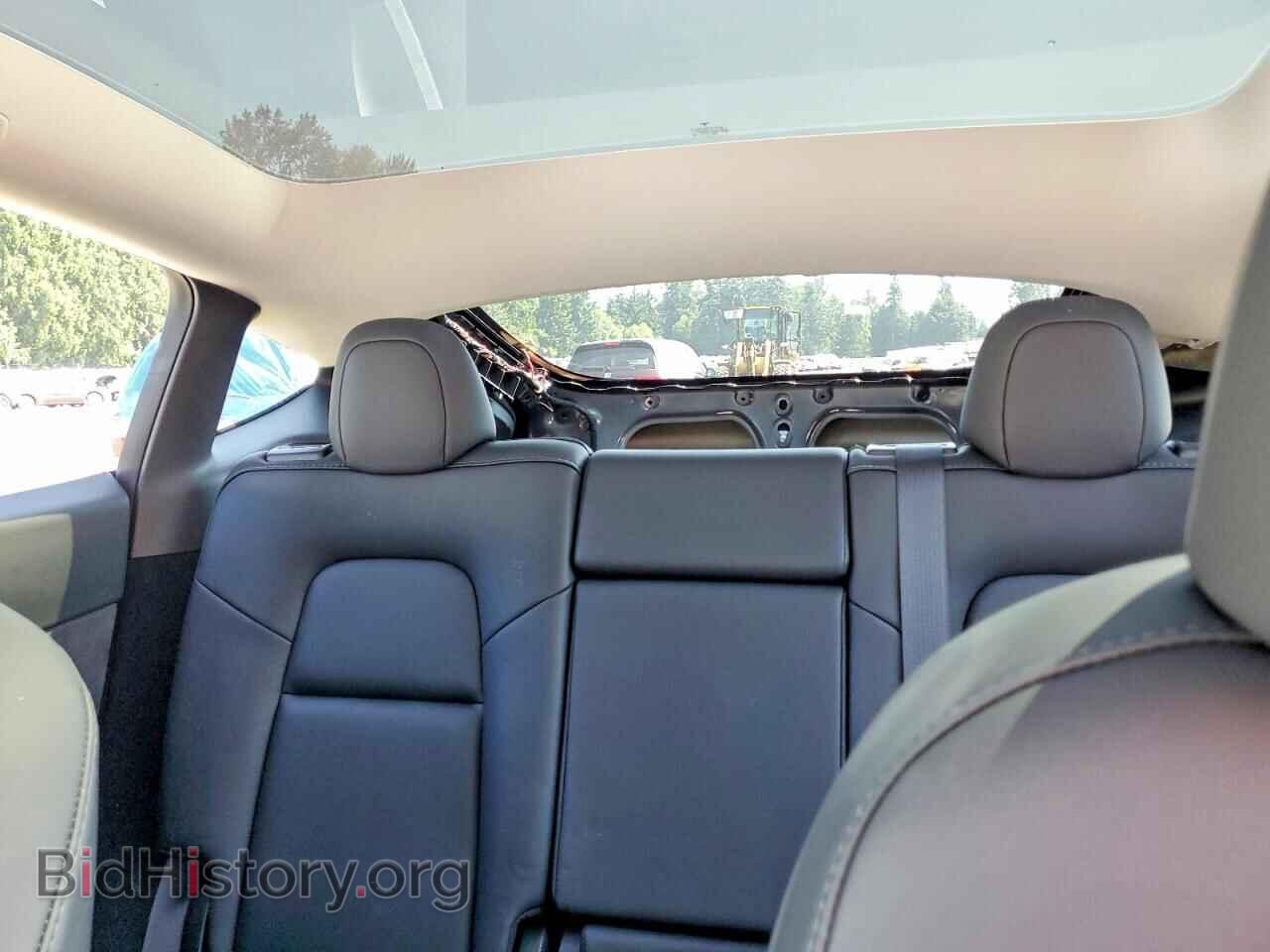 2024 TESLA MODEL Y - VIN: 7SAYGDEE4RF013801 - Photo 10