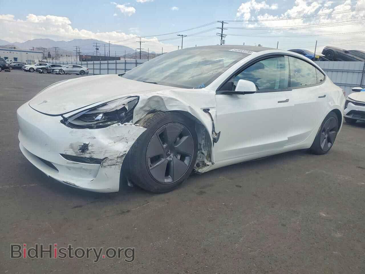 Photo 5YJ3E1EA4PF512278 - TESLA MODEL 3 2023