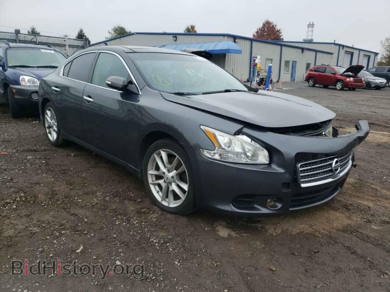Photo 1N4AA5AP4BC821491 - NISSAN MAXIMA 2011